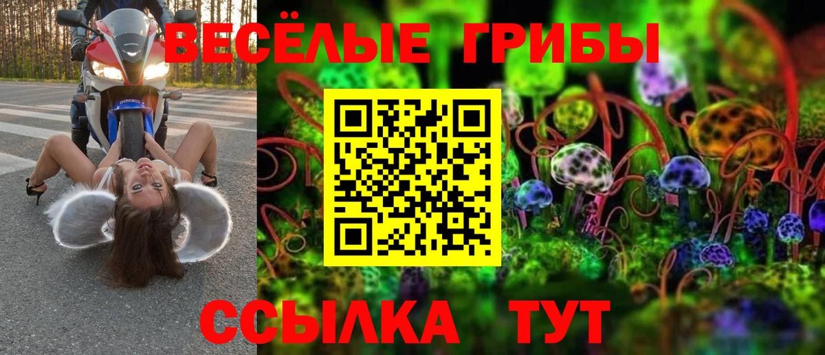 Псилоцибиновые грибы ЛСД Новокубанск